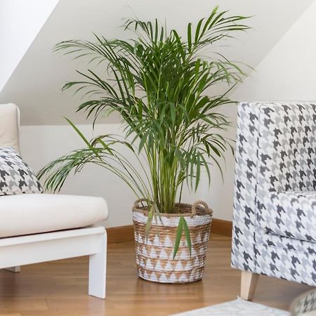 Apartamento Boutique Con Terraza Y Vistas Al Mar. Porto Vilanova Villanueva De Arosa Dış mekan fotoğraf