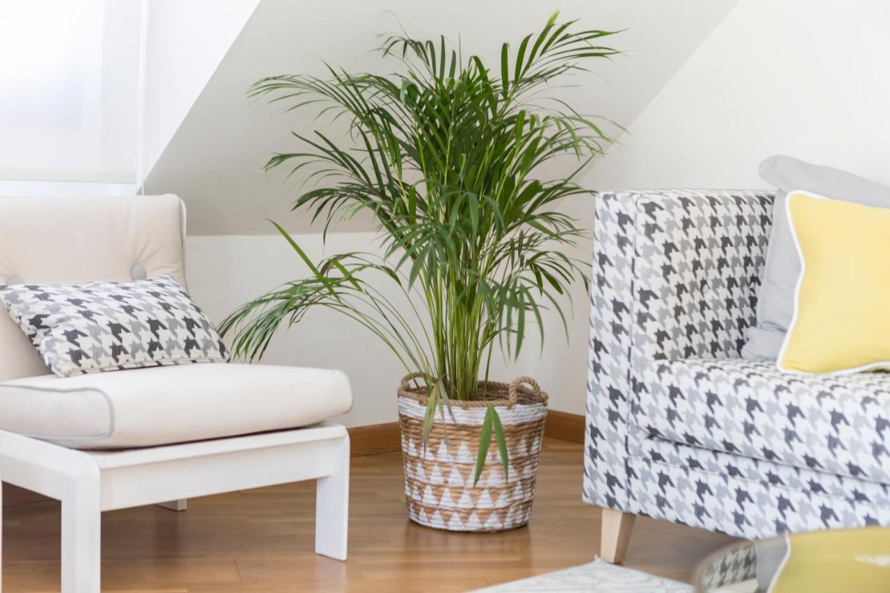 Apartamento Boutique Con Terraza Y Vistas Al Mar. Porto Vilanova Villanueva De Arosa Dış mekan fotoğraf